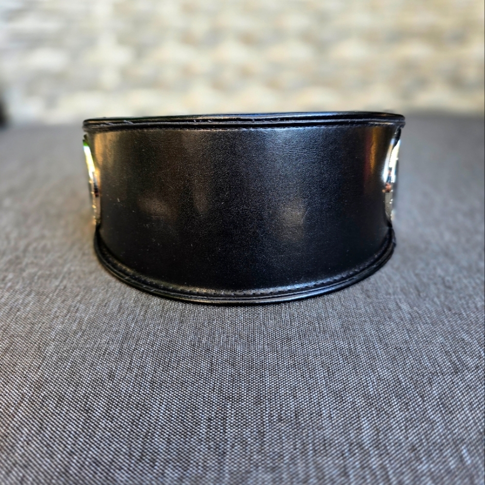 Bvlgari Ladies Sunglasses Case
